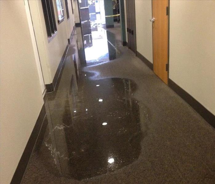 water damaged commercial hallway