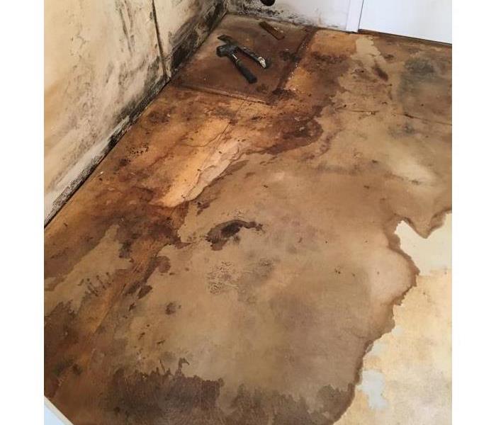 exposed long term water damaged laundry room